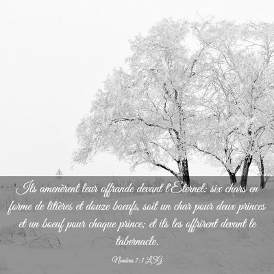 Picture 03 - Nombres 7:3 LSG - Ils amenèrent leur offrande devant l'Eternel: - Bible Verse Picture