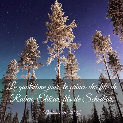 Picture 03 - Nombres 7:30 LSG - Le quatrième jour, le prince des fils de Ruben, - Bible Verse Picture