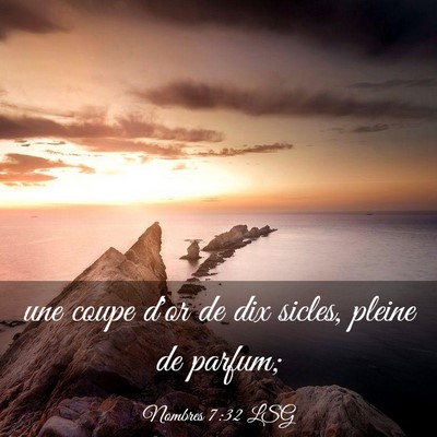 Picture 03 - Nombres 7:32 LSG - une coupe d'or de dix sicles, pleine de - Bible Verse Picture