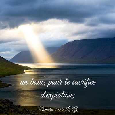 Picture 03 - Nombres 7:34 LSG - un bouc, pour le sacrifice - Bible Verse Picture