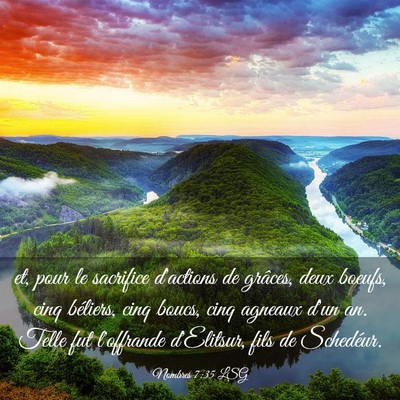 Picture 03 - Nombres 7:35 LSG - et, pour le sacrifice d'actions de grâces, deux - Bible Verse Picture