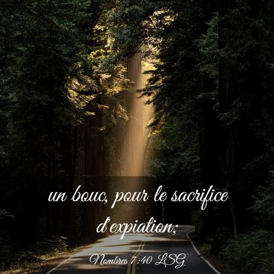 Picture 03 - Nombres 7:40 LSG - un bouc, pour le sacrifice - Bible Verse Picture