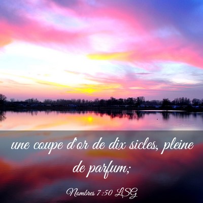 Picture 03 - Nombres 7:50 LSG - une coupe d'or de dix sicles, pleine de - Bible Verse Picture
