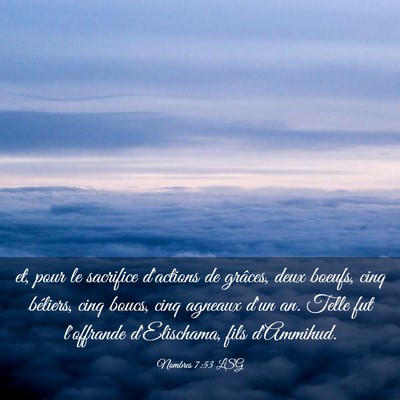 Picture 03 - Nombres 7:53 LSG - et, pour le sacrifice d'actions de grâces, deux - Bible Verse Picture
