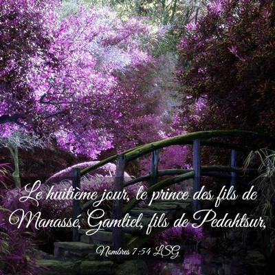Picture 03 - Nombres 7:54 LSG - Le huitième jour, le prince des fils de - Bible Verse Picture