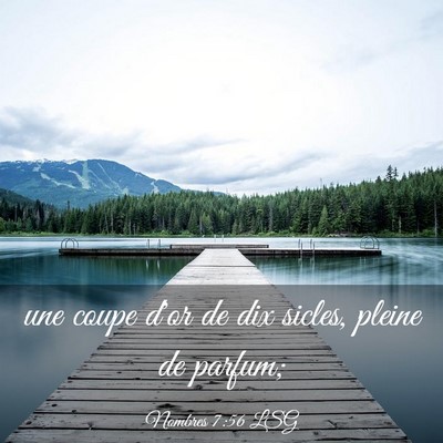 Picture 03 - Nombres 7:56 LSG - une coupe d'or de dix sicles, pleine de - Bible Verse Picture