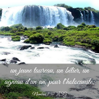 Picture 03 - Nombres 7:57 LSG - un jeune taureau, un bélier, un agneau d'un an, - Bible Verse Picture
