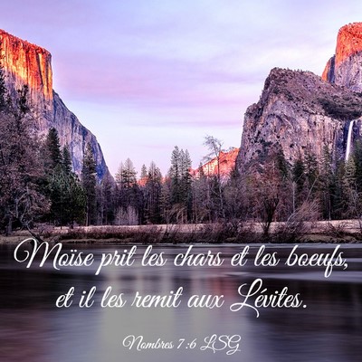 Picture 03 - Nombres 7:6 LSG - Moïse prit les chars et les boeufs, et il les - Bible Verse Picture