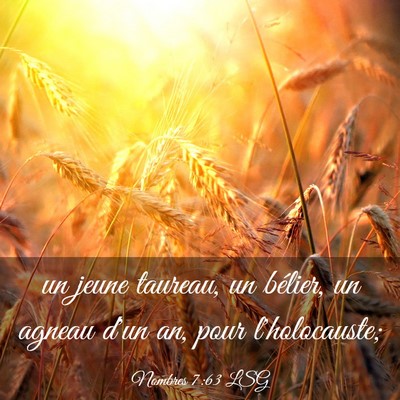 Picture 03 - Nombres 7:63 LSG - un jeune taureau, un bélier, un agneau d'un an, - Bible Verse Picture