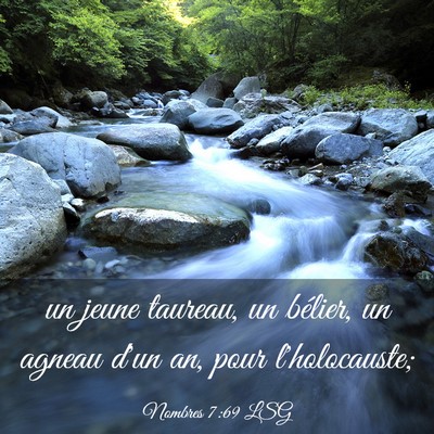 Picture 03 - Nombres 7:69 LSG - un jeune taureau, un bélier, un agneau d'un an, - Bible Verse Picture