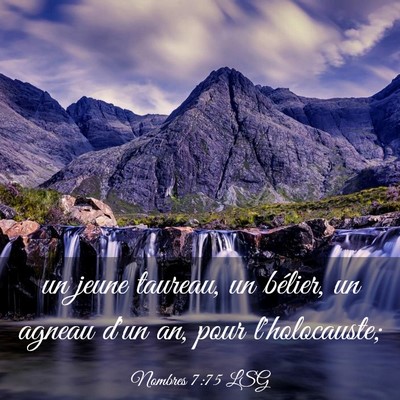 Picture 03 - Nombres 7:75 LSG - un jeune taureau, un bélier, un agneau d'un an, - Bible Verse Picture