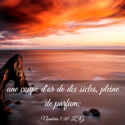 Picture 03 - Nombres 7:80 LSG - une coupe d'or de dix sicles, pleine de - Bible Verse Picture