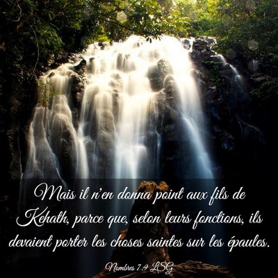 Picture 03 - Nombres 7:9 LSG - Mais il n'en donna point aux fils de Kehath, - Bible Verse Picture