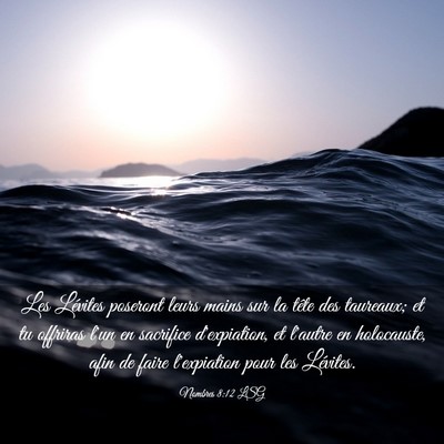 Picture 03 - Nombres 8:12 LSG - Les Lévites poseront leurs mains sur la tête - Bible Verse Picture