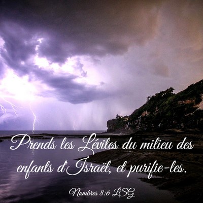 Picture 03 - Nombres 8:6 LSG - Prends les Lévites du milieu des enfants - Bible Verse Picture