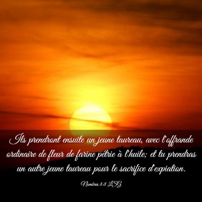 Picture 03 - Nombres 8:8 LSG - Ils prendront ensuite un jeune taureau, avec - Bible Verse Picture