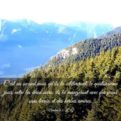 Picture 03 - Nombres 9:11 LSG - C'est au second mois qu'ils la célébreront, le - Bible Verse Picture
