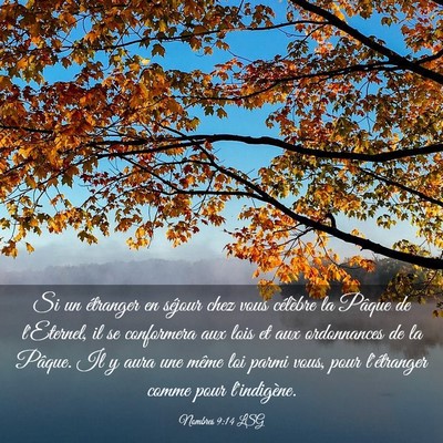 Picture 03 - Nombres 9:14 LSG - Si un étranger en séjour chez vous célèbre la - Bible Verse Picture