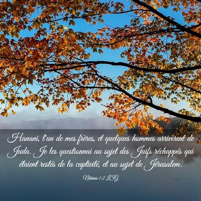 Picture 03 - Néhémie 1:2 LSG - Hanani, l'un de mes frères, et quelques hommes - Bible Verse Picture