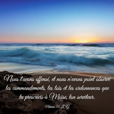 Picture 03 - Néhémie 1:7 LSG - Nous t'avons offensé, et nous n'avons point - Bible Verse Picture