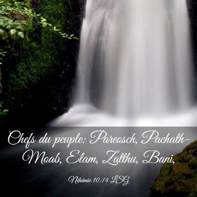 Picture 03 - Néhémie 10:14 LSG - Chefs du peuple: Pareosch, Pachath-Moab, Elam, - Bible Verse Picture