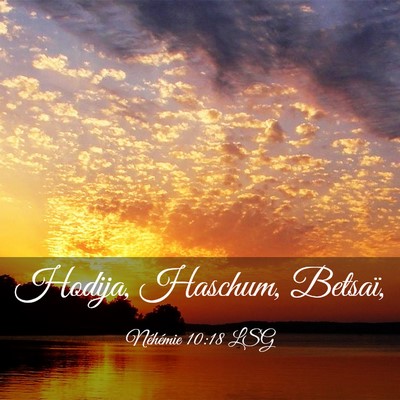 Picture 03 - Néhémie 10:18 LSG - Hodija, Haschum, - Bible Verse Picture