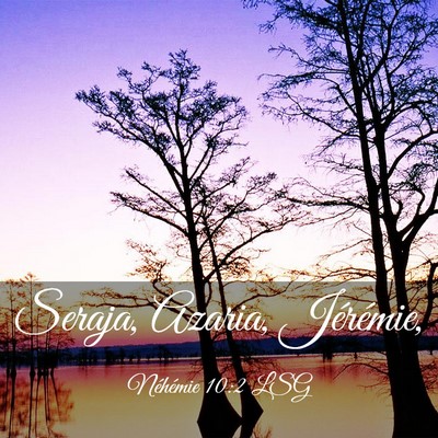 Picture 03 - Néhémie 10:2 LSG - Seraja, Azaria, - Bible Verse Picture