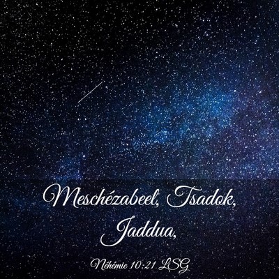 Picture 03 - Néhémie 10:21 LSG - Meschézabeel, Tsadok, - Bible Verse Picture