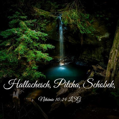 Picture 03 - Néhémie 10:24 LSG - Hallochesch, Pilcha, - Bible Verse Picture