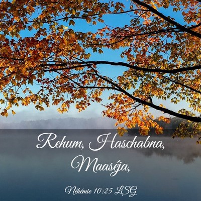 Picture 03 - Néhémie 10:25 LSG - Rehum, Haschabna, - Bible Verse Picture