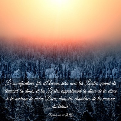 Picture 03 - Néhémie 10:38 LSG - Le sacrificateur, fils d'Aaron, sera avec les - Bible Verse Picture