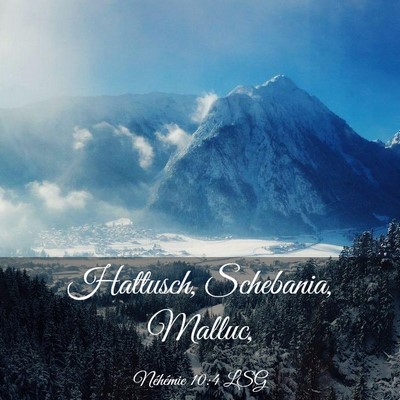 Picture 03 - Néhémie 10:4 LSG - Hattusch, Schebania, - Bible Verse Picture