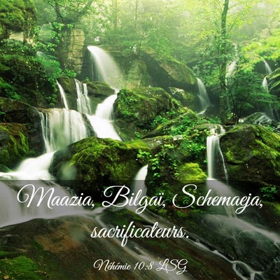 Picture 03 - Néhémie 10:8 LSG - Maazia, Bilgaï, Schemaeja, - Bible Verse Picture