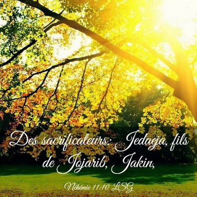 Picture 03 - Néhémie 11:10 LSG - Des sacrificateurs: Jedaeja, fils de Jojarib, - Bible Verse Picture
