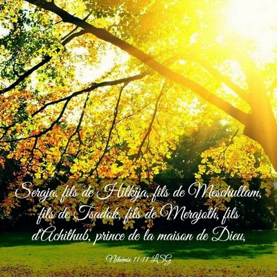 Picture 03 - Néhémie 11:11 LSG - Seraja, fils de Hilkija, fils de Meschullam, fils - Bible Verse Picture