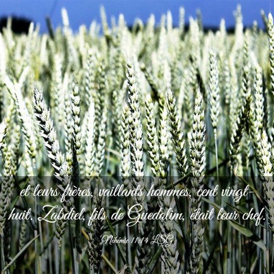Picture 03 - Néhémie 11:14 LSG - et leurs frères, vaillants hommes, cent - Bible Verse Picture