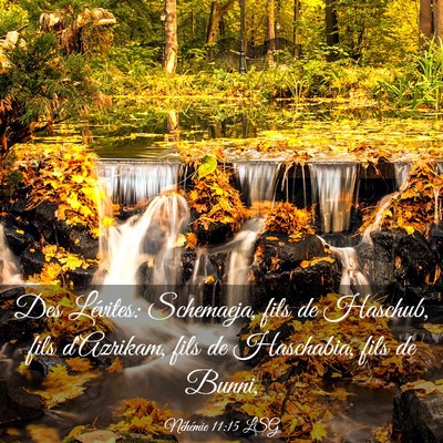 Picture 03 - Néhémie 11:15 LSG - Des Lévites: Schemaeja, fils de Haschub, fils - Bible Verse Picture