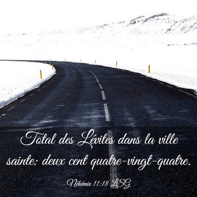 Picture 03 - Néhémie 11:18 LSG - Total des Lévites dans la ville sainte: deux - Bible Verse Picture
