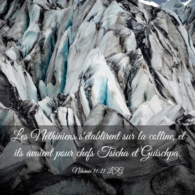Picture 03 - Néhémie 11:21 LSG - Les Néthiniens s'établirent sur la colline, et - Bible Verse Picture