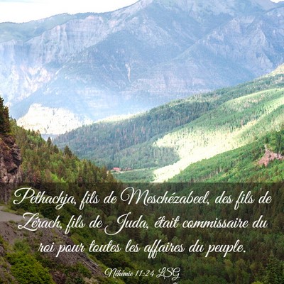 Picture 03 - Néhémie 11:24 LSG - Pethachja, fils de Meschézabeel, des fils de - Bible Verse Picture