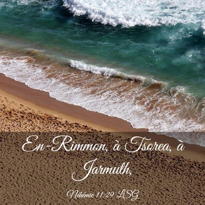 Picture 03 - Néhémie 11:29 LSG - En-Rimmon, à Tsorea, à - Bible Verse Picture
