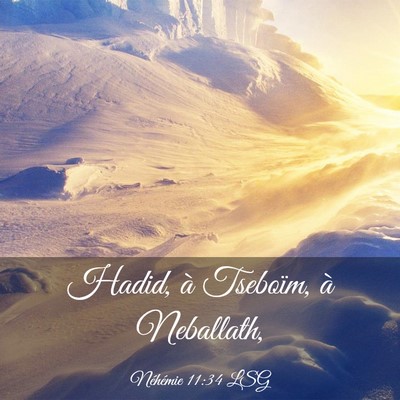 Picture 03 - Néhémie 11:34 LSG - Hadid, à Tseboïm, à - Bible Verse Picture