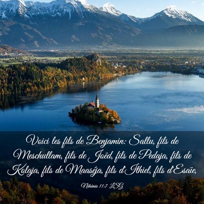 Picture 03 - Néhémie 11:7 LSG - Voici les fils de Benjamin: Sallu, fils de - Bible Verse Picture