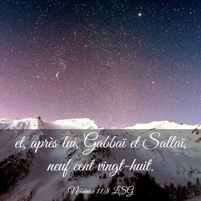 Picture 03 - Néhémie 11:8 LSG - et, après lui, Gabbaï et Sallaï, neuf cent - Bible Verse Picture