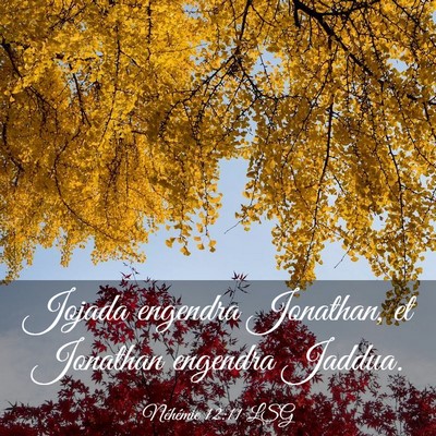 Picture 03 - Néhémie 12:11 LSG - Jojada engendra Jonathan, et Jonathan engendra - Bible Verse Picture