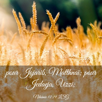 Picture 03 - Néhémie 12:19 LSG - pour Jojarib, Matthnaï; pour Jedaeja, - Bible Verse Picture