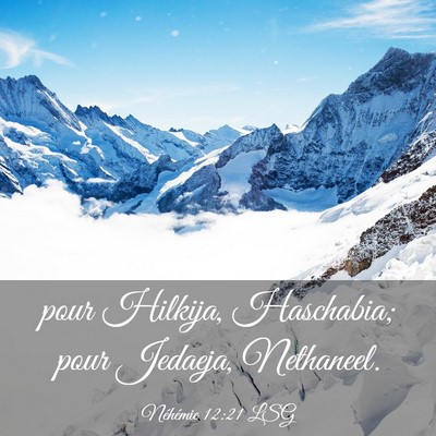 Picture 03 - Néhémie 12:21 LSG - pour Hilkija, Haschabia; pour Jedaeja, - Bible Verse Picture