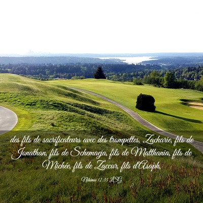 Picture 03 - Néhémie 12:35 LSG - des fils de sacrificateurs avec des trompettes, - Bible Verse Picture