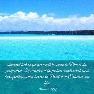 Picture 03 - Néhémie 12:45 LSG - observant tout ce qui concernait le service de - Bible Verse Picture