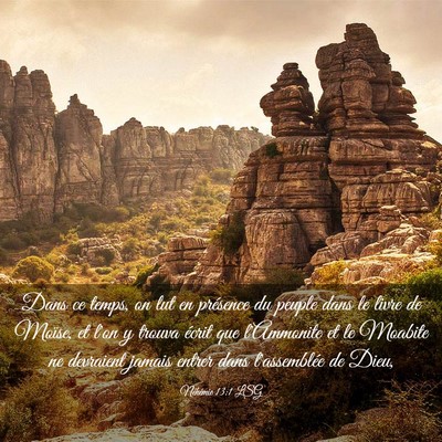 Picture 03 - Néhémie 13:1 LSG - Dans ce temps, on lut en présence du peuple dans - Bible Verse Picture